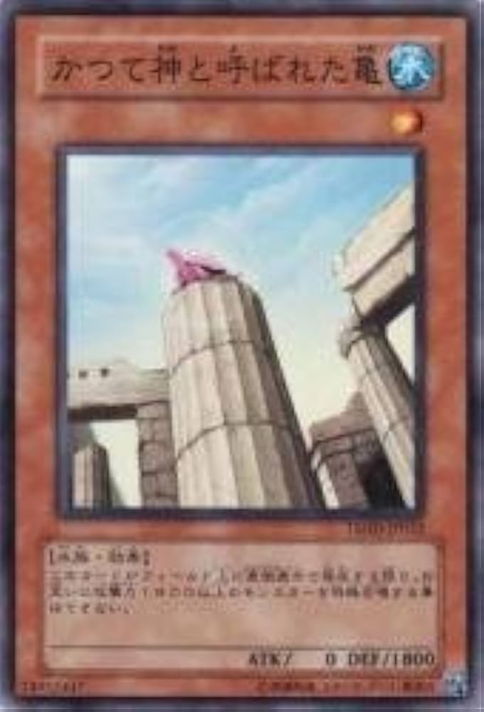 Amazon.co.jp: かつて神と呼ばれた亀 【N】 TSHD-JP032-N